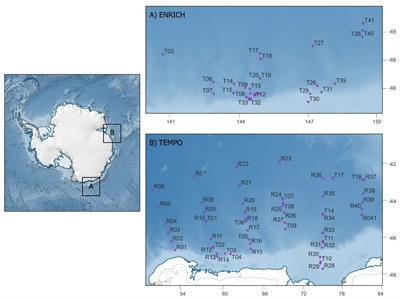 The energy content and demographic composition of Antarctic krill (Euphausia superba) swarms in East Antarctica